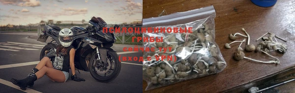 крисы Зеленодольск