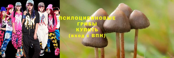 крисы Зеленодольск
