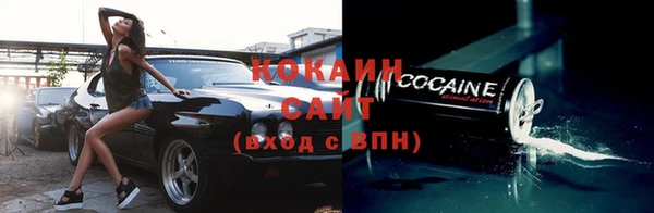 гашик Зерноград