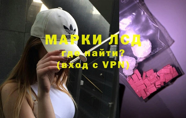 гашик Зерноград