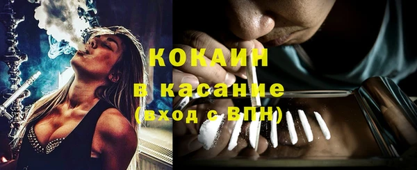 гашик Зерноград