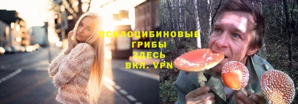 крисы Зеленодольск