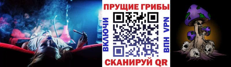 Псилоцибиновые грибы Psilocybe  Купить  Чебаркуль 
